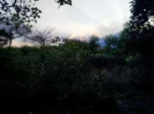 Se vislumbra el inicio de obras de infraestructura en el Vivas Balc&aacute;zar