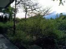 Se vislumbra el inicio de obras de infraestructura en el Vivas Balc&aacute;zar