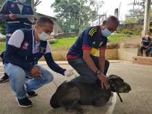 Jornadas saludables y ambientalistas en Golondrinas