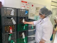 La Secretar&iacute;a de Salud P&uacute;blica le pone la lupa a los establecimientos en Cali