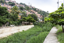 Despu&eacute;s de la tormenta viene la calma y los frutos del trabajo hecho con Puro Coraz&oacute;n por Cali