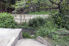 Despu&eacute;s de la tormenta viene la calma y los frutos del trabajo hecho con Puro Coraz&oacute;n por Cali