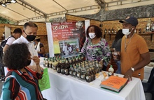 El Petronio &Aacute;lvarez extiende programaci&oacute;n con los Urambas, en San Antonio