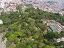 Evento: Camina San Antonio 2020-11-07