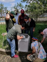 Dagma libera zorro cangrejero auxiliado por ciudadanos en el sur de Cali