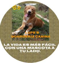 La Instituci&oacute;n Educativa Alfredo V&aacute;squez le apuesta al emprendimiento