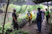 Vivero comunitario en Pance, iniciativa para recuperar el patrimonio ambiental