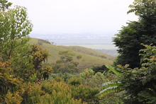 Vivero comunitario en Pance, iniciativa para recuperar el patrimonio ambiental