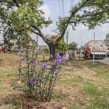 Se firm&oacute; el Pacto por un adecuado manejo de los residuos en la Autopista Suroriental