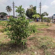 Se firm&oacute; el Pacto por un adecuado manejo de los residuos en la Autopista Suroriental