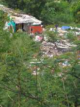 Dagma lidera intervenci&oacute;n para recuperar las lagunas del Pondaje y Charco Azul
