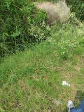 Urge acci&oacute;n interinstitucional para recuperar las lagunas de El Pondaje y Charco Azul: DAGMA 