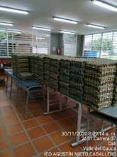 Inici&oacute; entrega de la alimentaci&oacute;n escolar de noviembre y diciembre