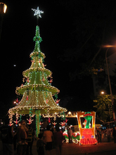 El alumbrado cuenta sus historias al iluminar la vida y las navidades de todos y todas