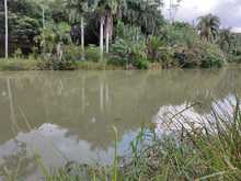 Dagma descubri&oacute; nuevo ejemplar en el Lago de la Babilla