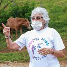 Realizan seguimiento a recuperaci&oacute;n de animales rescatados de criadero ilegal