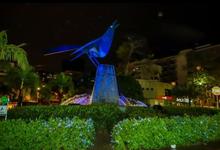 En diciembre, Cali ilumina sus monumentos y fuentes ornamentales 