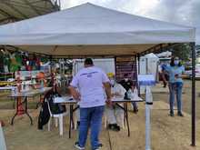 Por Cali rueda una caravana navide&ntilde;a con bioseguridad incluida
