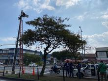 M&aacute;s de 600 c&aacute;maras en reparaci&oacute;n para optimizar el sistema de video vigilancia