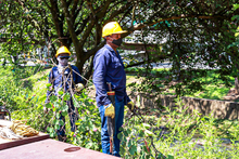 La Administraci&oacute;n del Puro Coraz&oacute;n adelanta obras de mantenimiento y adecuaci&oacute;n del Bulevar de la Avenida Colombia