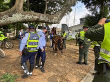 No se permitir&aacute; m&aacute;s la circulaci&oacute;n de veh&iacute;culos de tracci&oacute;n animal por las calles de Cali