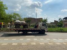 No se permitir&aacute; m&aacute;s la circulaci&oacute;n de veh&iacute;culos de tracci&oacute;n animal por las calles de Cali