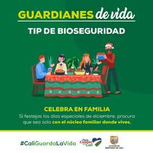 pieza Navide&ntilde;a