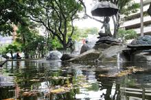 Se establecen acciones para proteger los espacios de inter&eacute;s p&uacute;blico