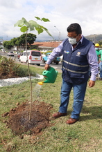 El martes se entregar&aacute; 