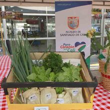 310 personas se beneficiaron del proyecto huertas por la vida en 2020