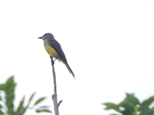 La Escuela Ambiental Infantil lleg&oacute; a Vista Hermosa, Comuna 1