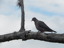 La Escuela Ambiental Infantil lleg&oacute; a Vista Hermosa, Comuna 1