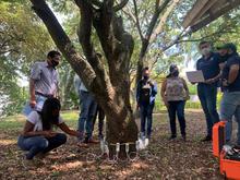 Cali, l&iacute;der nacional en tecnolog&iacute;as para el cuidado del arbolado