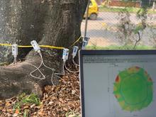 Cali, l&iacute;der nacional en tecnolog&iacute;as para el cuidado del arbolado