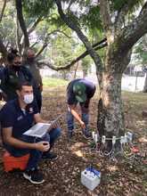 Cali, l&iacute;der nacional en tecnolog&iacute;as para el cuidado del arbolado