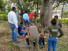 Cali, l&iacute;der nacional en tecnolog&iacute;as para el cuidado del arbolado