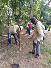 Alcald&iacute;a recuper&oacute; reserva forestal en el cerro Las Tres Cruces