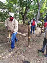 Alcald&iacute;a recuper&oacute; reserva forestal en el cerro Las Tres Cruces