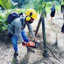 Alcald&iacute;a recuper&oacute; reserva forestal en el cerro Las Tres Cruces