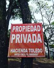 Alcald&iacute;a recuper&oacute; reserva forestal en el cerro Las Tres Cruces