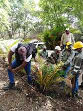 Alcald&iacute;a recuper&oacute; reserva forestal en el cerro Las Tres Cruces