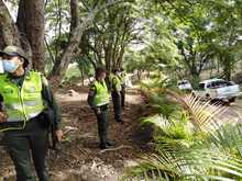 Alcald&iacute;a recuper&oacute; reserva forestal en el cerro Las Tres Cruces