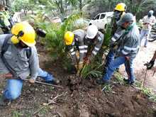 Alcald&iacute;a recuper&oacute; reserva forestal en el cerro Las Tres Cruces