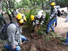 Alcald&iacute;a recuper&oacute; reserva forestal en el cerro Las Tres Cruces