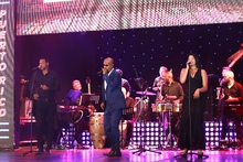 Las Salsotecas se tomaron el Encuentro de Mel&oacute;manos y Coleccionistas