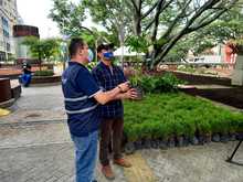 El corredor del r&iacute;o Cali reverdece y florece como un solo jard&iacute;n