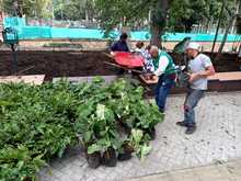 El corredor del r&iacute;o Cali reverdece y florece como un solo jard&iacute;n
