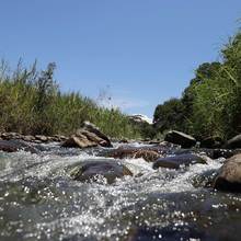 Cali tendr&aacute; uno de los santuarios naturales m&aacute;s importantes del mundo 