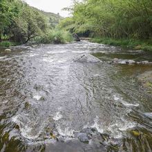 R&iacute;os de Cali tuvieron un respiro durante el puente de Reyes