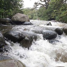 R&iacute;os de Cali tuvieron un respiro durante el puente de Reyes